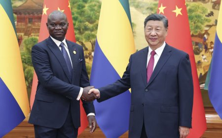 习近平会见加蓬总统恩圭马