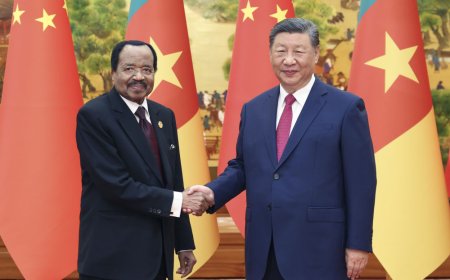 习近平会见喀麦隆总统比亚