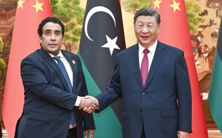 习近平会见利比亚总统委员会主席曼菲