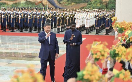 习近平同塞内加尔总统法耶会谈