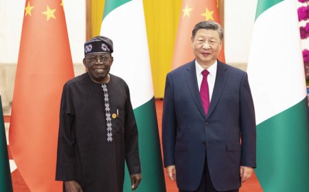 习近平同尼日利亚总统提努布会谈