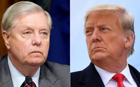 Lawmakers, family react after learning Trump safe following second assassination attempt