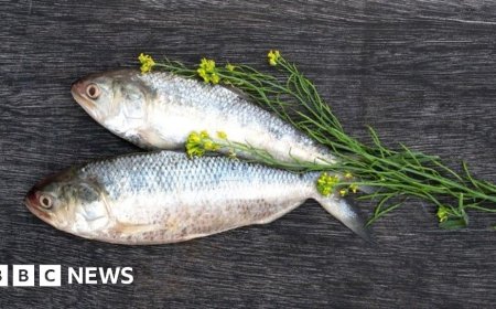 'Fish diplomacy' setback for India and Bangladesh