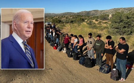 Nearly 530,000 migrants came to US 'legally,' paroled into US under controversial Biden program: CBP