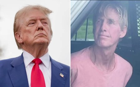 Fox News Politics: 'Highly Inflammatory'