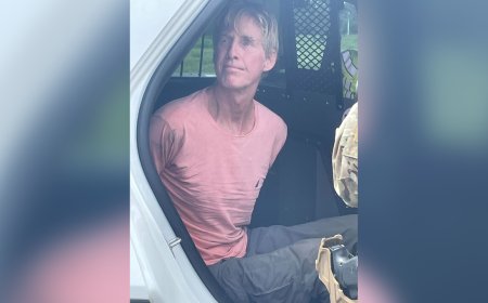 NY Times reporter who once interviewed man behind Trump assassination attempt was not that surprised