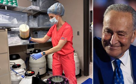 Schumer revives Dem-backed IVF bill after Trump proposal