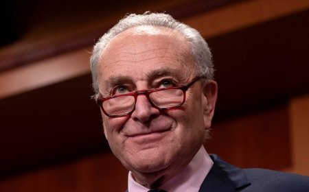 Democrats pick another fight on IVF