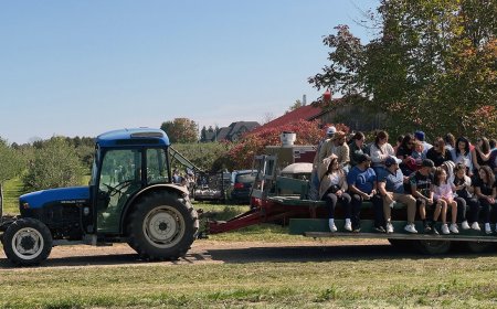 Wisconsin field trip children, adults injured in tractor and wagon accident at apple orchard