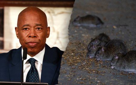 New York City hosts inaugural 'Urban Rat Summit' in hopes to combat rodent problem: 'Quality of life issue'