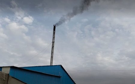 Study Finds Air Pollution Top Risk Factor For Brain Stroke