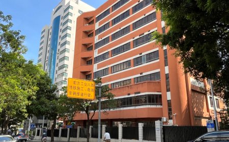 Child dies after stabbing near Japanese school in China