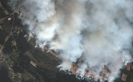 Russia-Ukraine war: List of key events, day 937