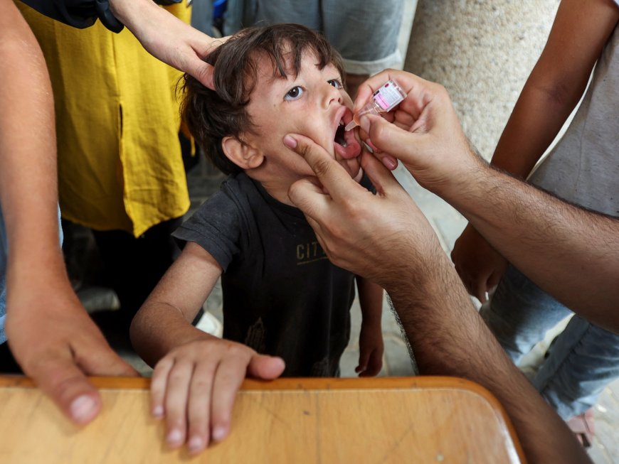 What to know about the polio vaccination campaign in Gaza