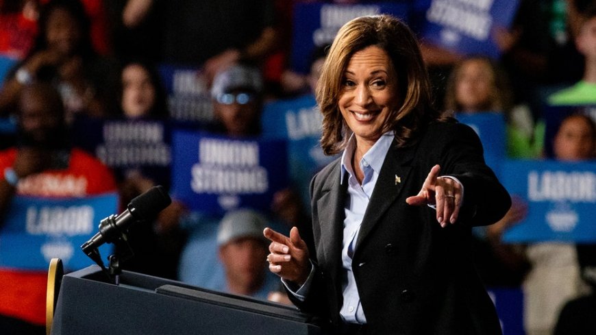 Progressive outlet fed up with Harris’ ‘safe’ campaign: ‘Looks like she doesn’t stand for anything’