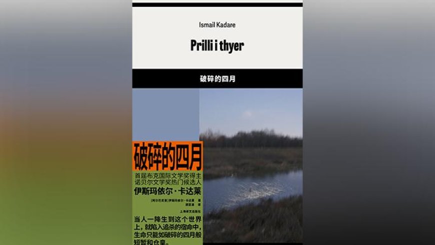 破产法的温度|拉弗什高原的血债如何血偿?