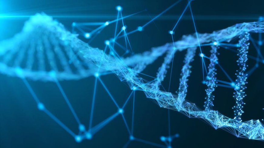 模仿人体组织呈现更真实细胞组合,新技术造出复杂类器官