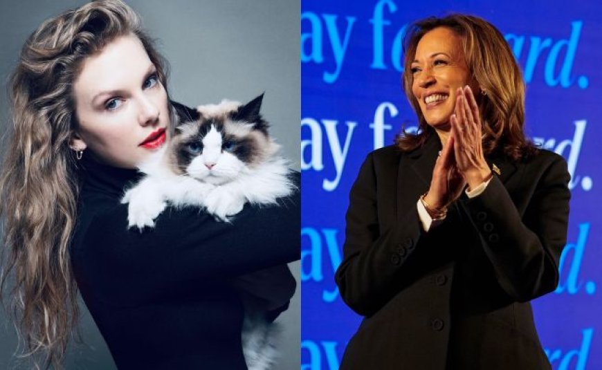 Woman Sells Taylor Swift Tickets After Popstar Endorses Kamala Harris