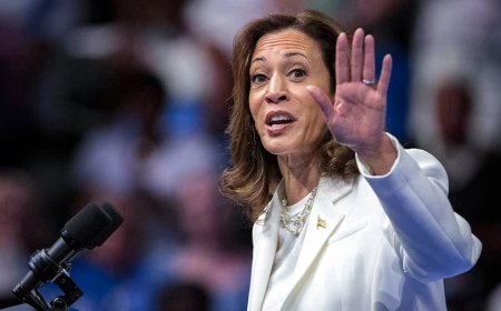 73 days: Kamala Harris has yet to do formal press conference since emerging as Democratic nominee