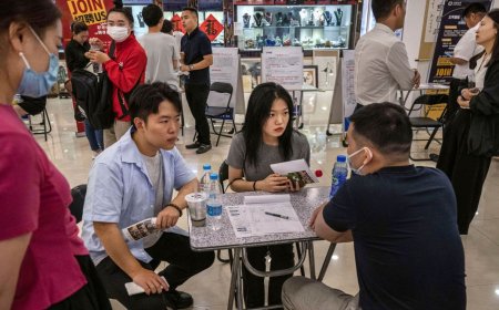 青年失业率再抬升背后的症结