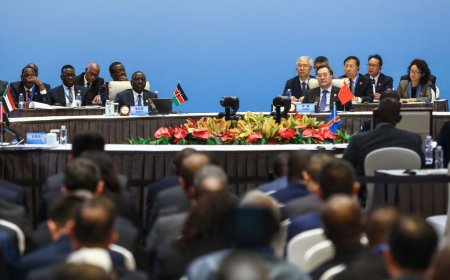 中非合作中发出的“异美”声音