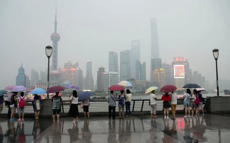 盼来了货币宽松，投资人爱拼才会赢？