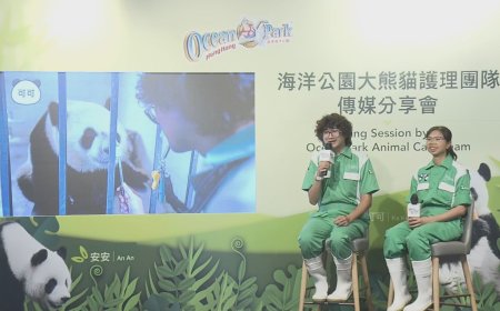 兩隻大熊貓性格各異 護理員指可可似小辣椒