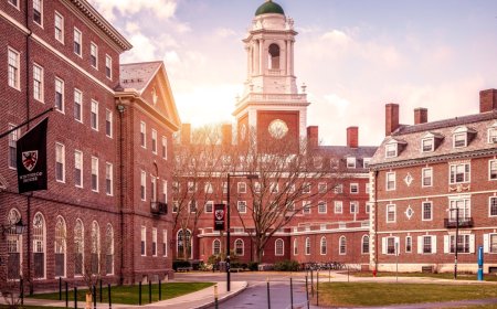 投資績效吊車尾 哈佛做錯了什麼？｜天下雜誌