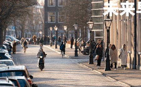 早报|罚款近七千万，官方通报三只羊公司有关问题调查结果/阿里京东将互相开放/特斯拉无人驾驶出租车定档 10 月