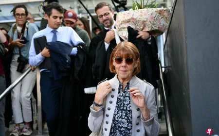 法国一男子承认招50人强奸妻子