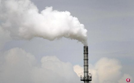 逾七成东南亚人支持国家征收碳税