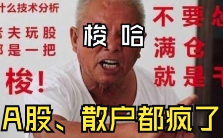 A股涨停潮、空头暴毙、上交所宕机、排队开户…仿佛回到十年前