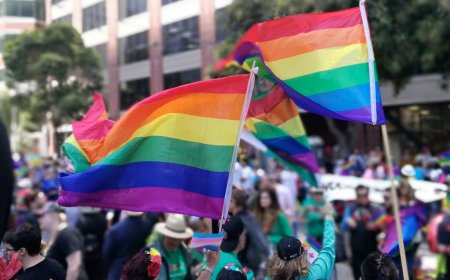 Georgia Signs Into New Law Bill Despite Warnings, EU Thinks Its Queerphobic