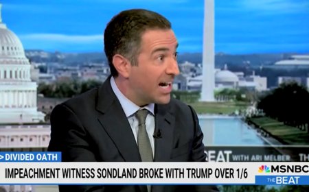 MSNBC host shocked as impeachment witness says Trump regained his support: 'So striking!'