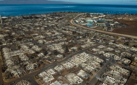 Cause of Maui wildfire that killed 102 revealed