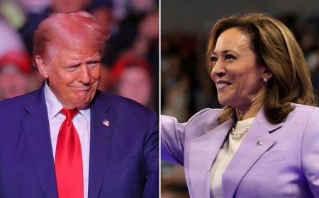 Wisconsin poll shows Harris leading Trump by 4, former president ahead on key issues