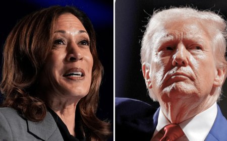 Harris tops Trump by 3 points in national survey