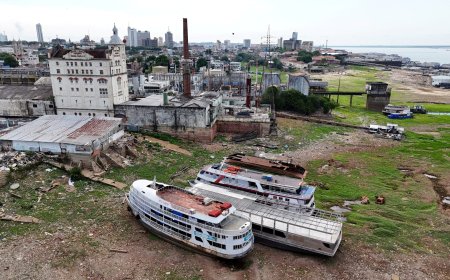 Water levels in major Amazon tributary tumble to record lows amid drought