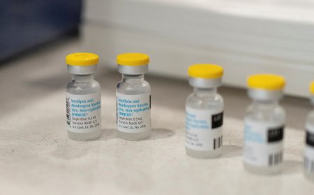 WHO approves first mpox test for faster diagnoses