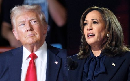 'Tightest race since 2000': Harris-Trump showdown hits final stretch until Election Day