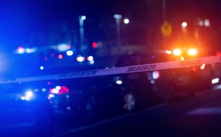 Ohio woman's viral videos about rug buried in her yard led to search for potential body