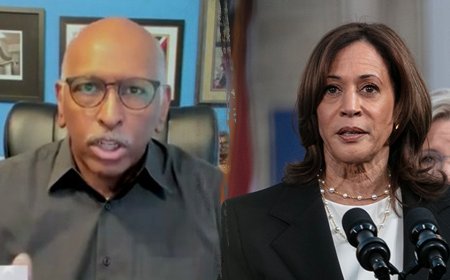 MSNBC's Steele claims Trump's the one not doing media as GOP ticket does 3x more interviews than Harris-Walz