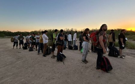Dozens of illegal immigrants from 'special interest' nations with terrorist activity caught at southern border