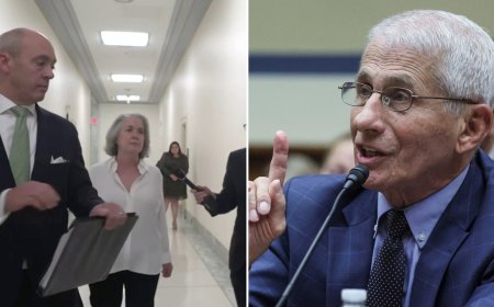 Former NIH official accused of making emails 'disappear' pleads Fifth to COVID subcommittee