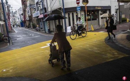 日本研究：干细胞耗竭过程新发现有助推动衰老研究