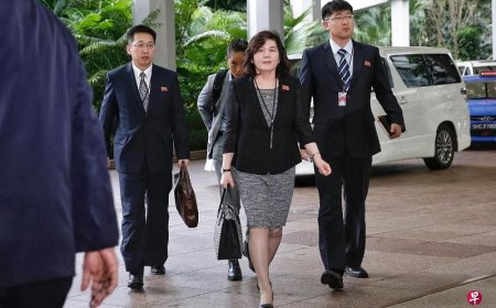 韩情报机构：朝鲜外长下周可能访俄