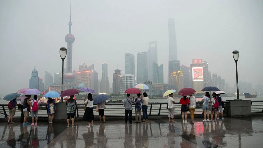 盼来了货币宽松,投资人爱拼才会赢?